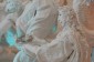 Thumbs/tn_Dsc_4693.jpg