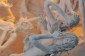 Thumbs/tn_Dsc_4694.jpg