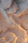 Thumbs/tn_Dsc_4696.jpg