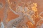 Thumbs/tn_Dsc_4701.jpg