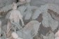 Thumbs/tn_Dsc_4706.jpg