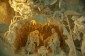 Thumbs/tn_Dsc_4730.jpg