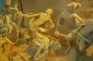 Thumbs/tn_Dsc_4747.jpg