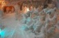 Thumbs/tn_Dsc_4752.jpg