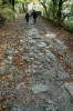 Thumbs/tn_Dsc_3626.jpg