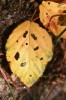 Thumbs/tn_Dsc_3628.jpg