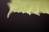 Thumbs/tn_Dsc_3632.jpg