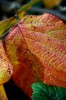 Thumbs/tn_Dsc_3641.jpg