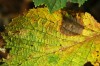 Thumbs/tn_Dsc_3666.jpg