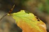 Thumbs/tn_Dsc_3670.jpg