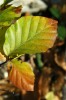 Thumbs/tn_Dsc_3673.jpg