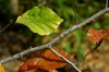 Thumbs/tn_Dsc_3676.jpg
