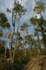 Thumbs/tn_Dsc_3677.jpg