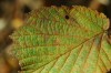 Thumbs/tn_Dsc_3685.jpg