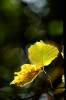 Thumbs/tn_Dsc_3727.jpg