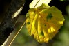 Thumbs/tn_Dsc_3740.jpg
