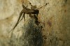 Thumbs/tn_Dsc_3755.jpg