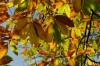 Thumbs/tn_Dsc_3768.jpg