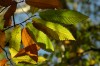 Thumbs/tn_Dsc_3771.jpg