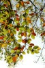 Thumbs/tn_Dsc_3776.jpg