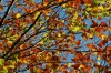 Thumbs/tn_Dsc_3778.jpg