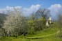 Thumbs/tn__dsc8262.jpg