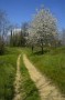 Thumbs/tn__dsc8264.jpg