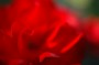 Thumbs/tn_Dsc_1331.jpg