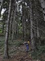 _DSC0026