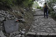 _DSC0061