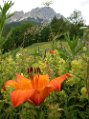 Dscn0935