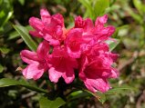 Dscn0026
