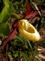 Dscn0087