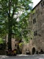 Dscn0251