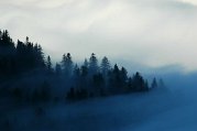 Alba