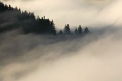 Dsc_8359