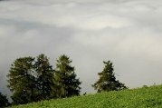 Dsc_8375