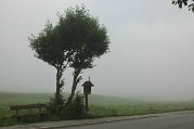 Dsc_8393