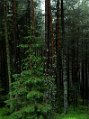 DSC_8280_T