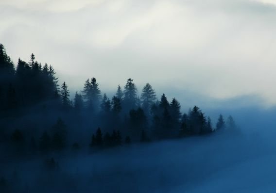 Alba