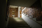 _DSC1688