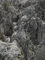 _DSC1451