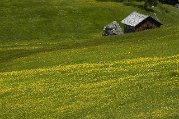 _DSC1529