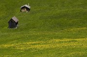_DSC1531