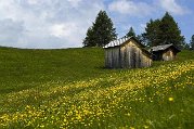 _DSC1555