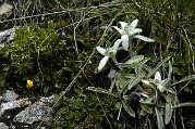 Monte-piana_DSC2503