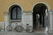 _DSC1785