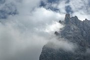 _DSC1110