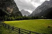 _DSC1140