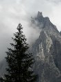 _DSC1179